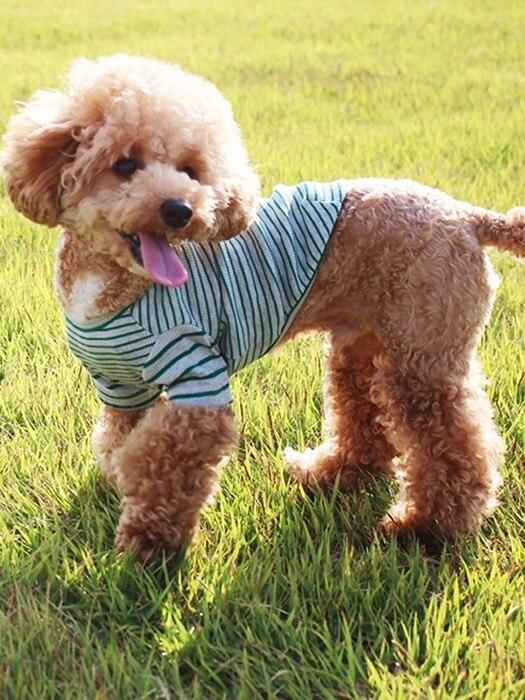 

GRAY CEREAL Gray Short Sleeve T-shirt - Green XL