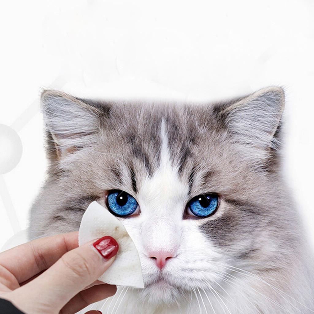 2PC Pet Cat Dog Remove Tear Mark Artifact Eye Cleaning Pet Mokrý papírový ručník