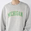 Ocean Pacific Men's Michigan College Logo Sweatshirt (534017)