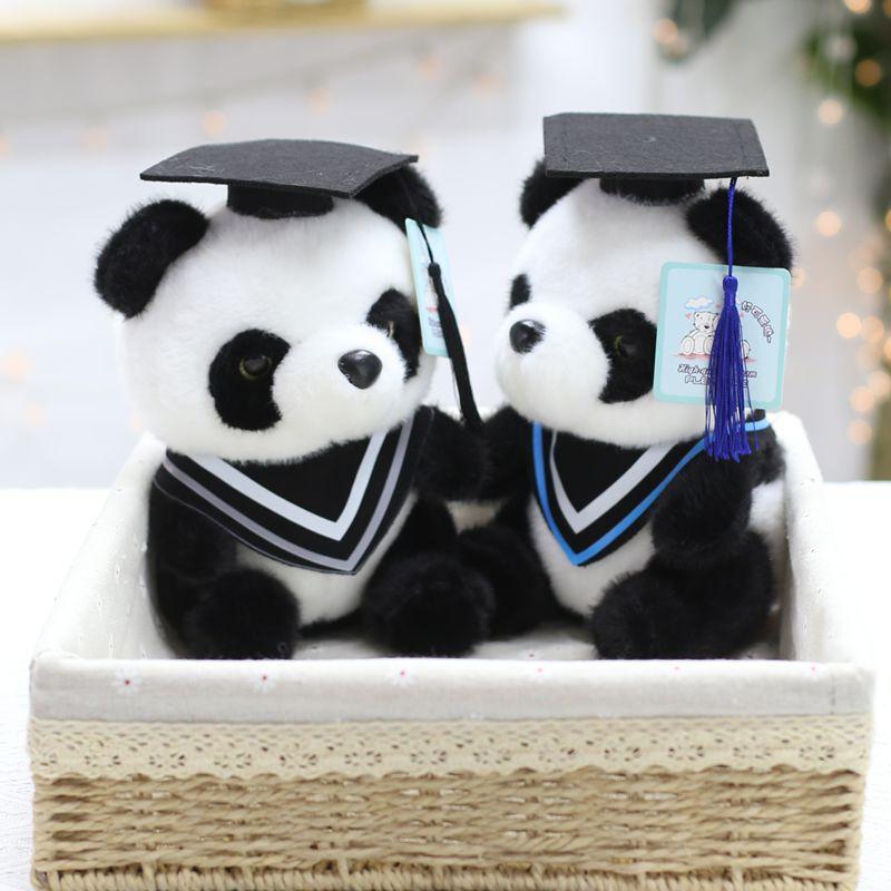Student Graduation Dr. Child Panda Doll Doll Plush Toy Doll Student Graduation Gift