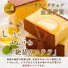 Nagasaki Shinsendo Retirement Sweets Individually Wrapped Small Gift Thank You for Your Help Castella Plain 10 Pieces Transfer Thank You Carrying Bag