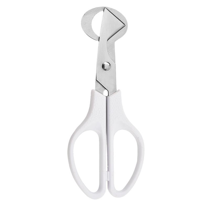 Stainless Steel Quail Egg Opener Scissors - Eggshell Cutter and Kitchen Shears