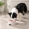 Cat Water Bowl Pet with Floating Disk, No Spill Dispenser Food Grade Plastic for Dogs Cats, Splash Proof Slow Drink Feeder Detachable Container
