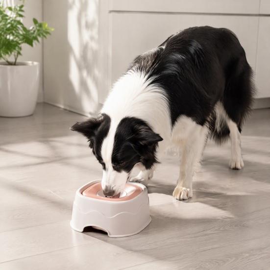 Cat Water Bowl Pet with Floating Disk, No Spill Dispenser Food Grade Plastic for Dogs Cats, Splash Proof Slow Drink Feeder Detachable Container