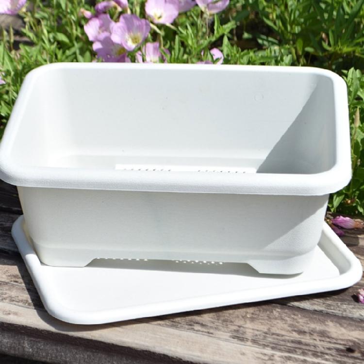 Heavy Duty Spacious Rectangular Planting Container High Durability Plastic Materials Ideal for Balcony Garden Vegetables