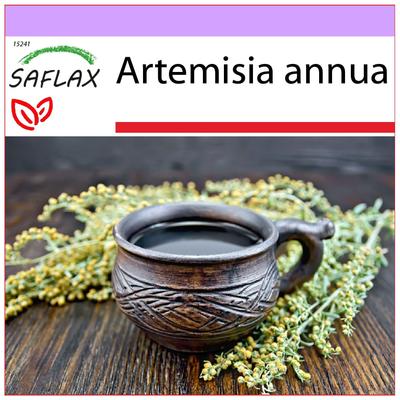 Sweet Wormwood Qing Hao - 250 Seeds - Artemisia Annua