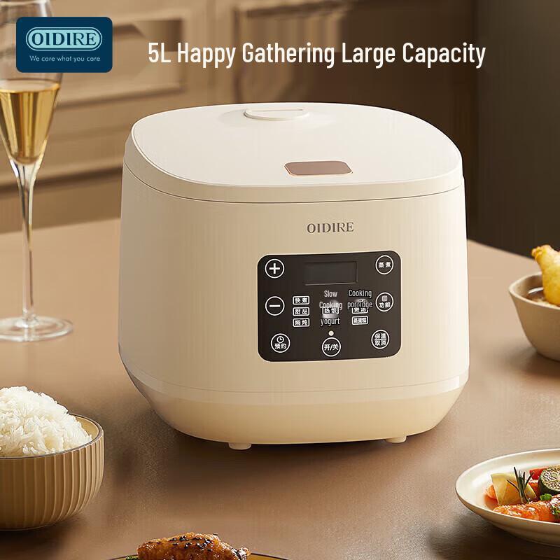 OIDIRE Electric Lunch Box
