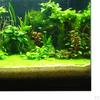 3D Aquarium Universal Landscape Poster Single Sided Fish Background , 61x30cm