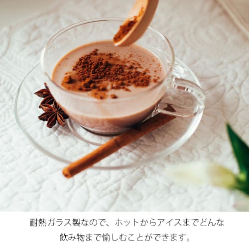 HARIO Heat-Resistant Teacup & Saucer, 230ml, Microwave and Dishwasher Safe, Made in Japan, TCSN-1T