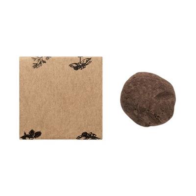 Bombi III Herb Bomb Seed Growing Kit