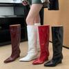 Eilyken Autumn Winter Design Pointed Toe Women Knee High Boots Ladies Shoes Wedges Heels Modern Long Booties Largas Mujer