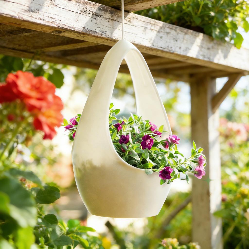 Vattendroppe Hängkorg Blomkruka, Hängande Korgväxter Hänger