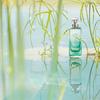Hermes Un Jardin Sur Le Nil Eau de Toilette