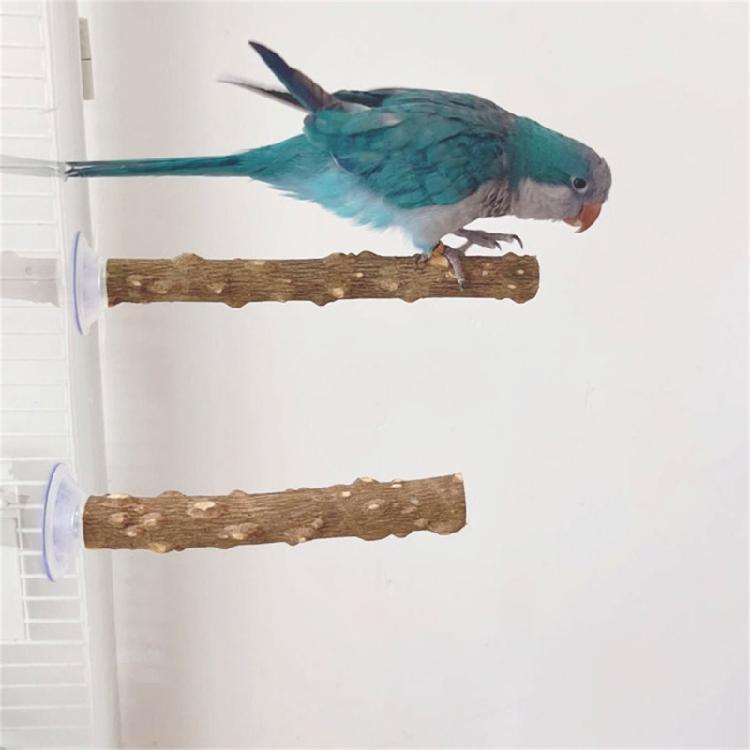 3lots Chewing Exercise Stick Pet Parrots Stand Solid Wood Standing Stick Poles Bird Cage Accessories Pet Toy