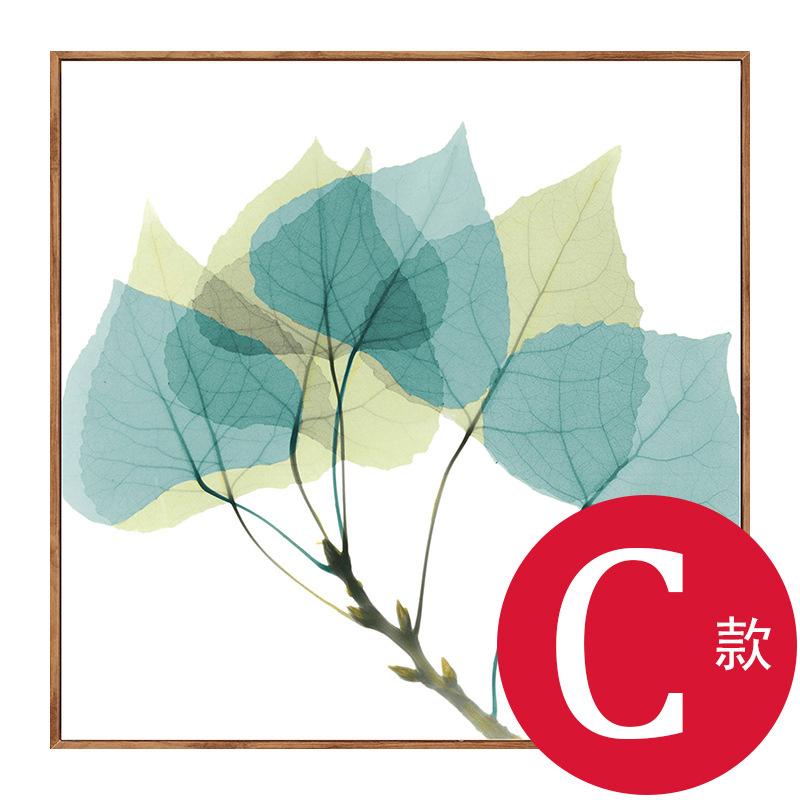 

Скандинавская картина на холсте, прозрачные растения, листья, цветы, современный и простой стиль для гостиной, кухни, спальни, коридора 30x30cm No Frame