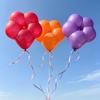 10/20/50Pcs Colorful Plum Blossom Balloons Flower Balloons, Suitable For Valentine'S Day, Birthdays, Wedding Party Decorations