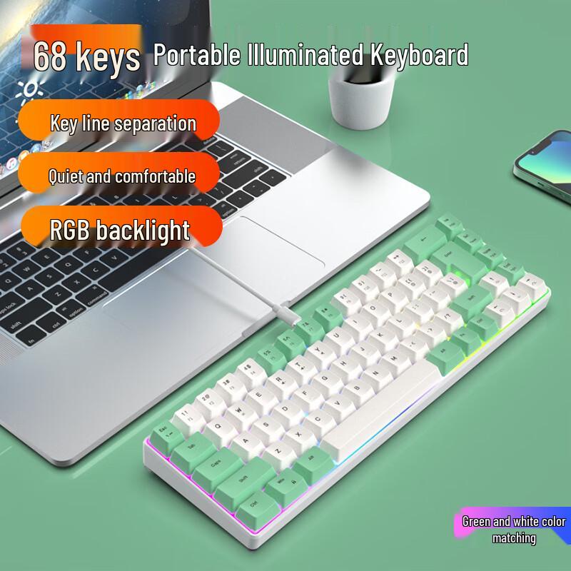 Y-FRUITFUL 68-Key Two-Tone RGB Mechanical Feel Gaming Keyboard