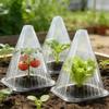 Transparent Conical Windproof Seedling Protection Bell - Rainproof, Heat Retention, High Transparency Cover