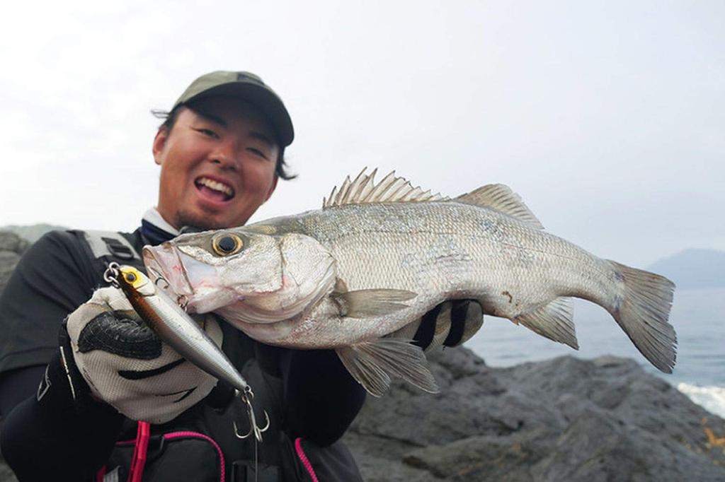 JACKALL Big Backer Fall Trick Raw Whitebait 84mm / 27.7g