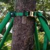 Aokewen Galvanized Steel Tree Support System