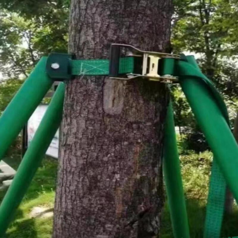 Aokewen Galvanized Steel Tree Support System
