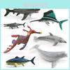Ocean Creature Plastic Model Dolphin Static Figure For Marine Enthusiast And Aquarium Decor