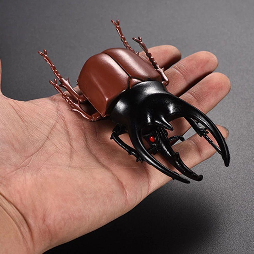 Insect Toy Joke Toys Fake Beetle Beetle Toys Insect Model Special Lifelike Model Simulation Beetle