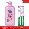 Toothbrush & Rejoice Shampoo Bundle