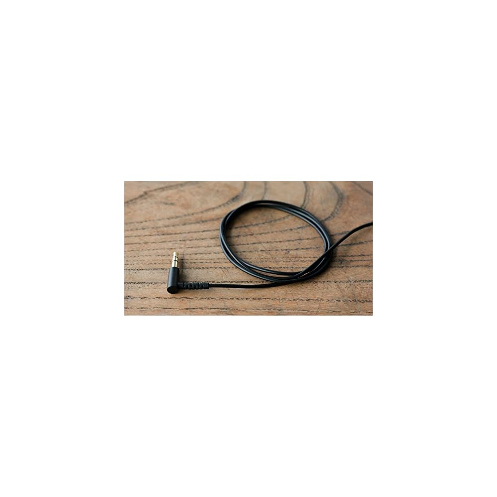 final E2000 In-Ear Headphones with Microphone and Controller, Matte Black FI-E2DALC