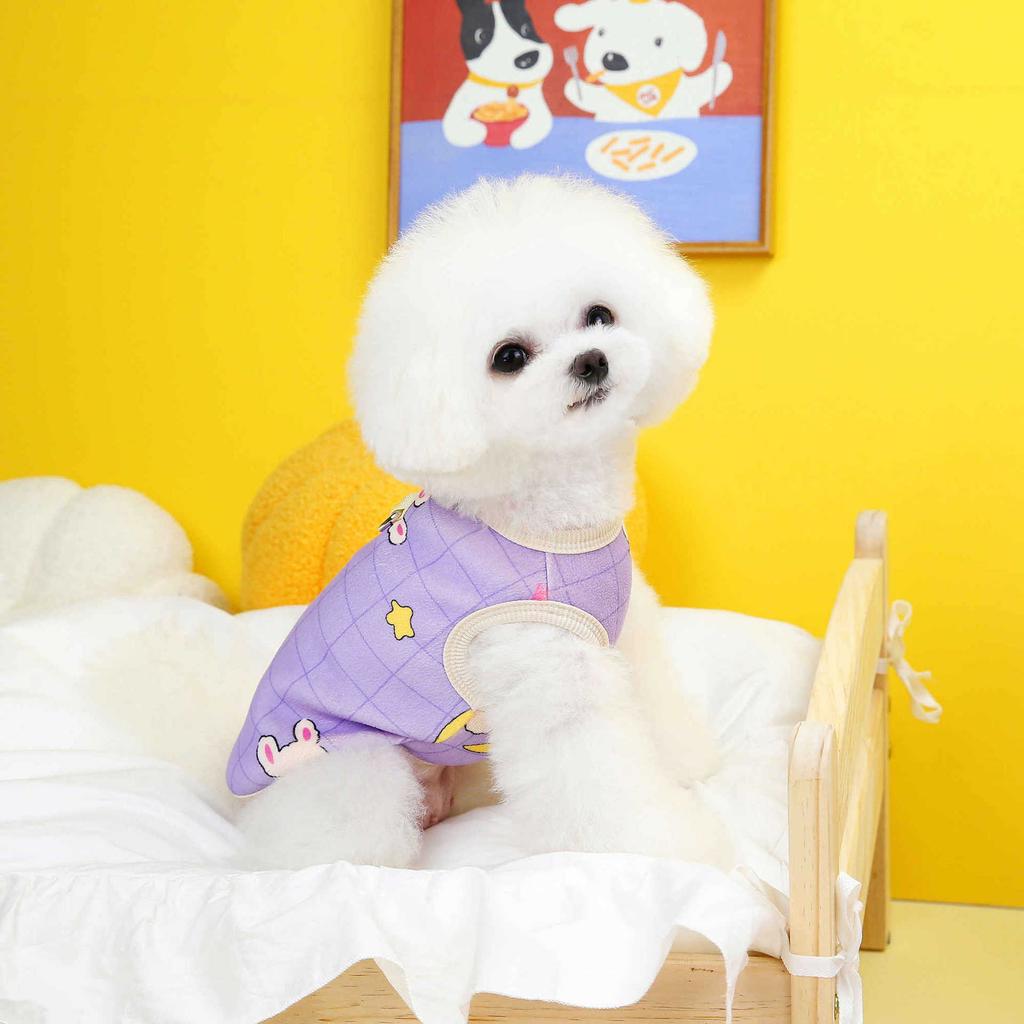 Dog Clothes Autumn Pet Teddy Bichon Small Dog Kitten Cat Traction Environmentally Friendly Warm Vest