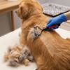 Köpek – Köpek bakım ürünleri