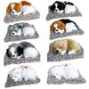 Perros – Juguetes para perros