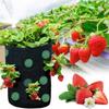 Hanging Flowerpot Bag Tomatoes Vegetables Strawberries Strawberries Pockets 35Cm