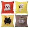 Cute Naughty Cute Cats Dogs Cushion Cover Pattern Printed Pillowcase for Living Room Sofa Cushion Cover & Bedroom Decor