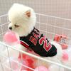 1 Stück Basketball Teamgeist Hunde Weste - Lebendige Drucke, Leicht & Atmungsaktiv für Frühling/Sommer - Perfekt für kleine Hunde