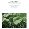 SKIN1004 Madagascar Centella Teatrica Purifying Toner 210ml