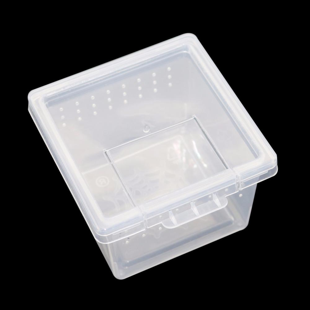 1 Pcs Plastic Transparent Reptiles Living Box Reptile Terrarium Ideal Habitat for Scorpion spider Ants Chameleon Lizard