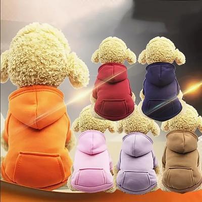 Kleding en schoenen – Honden truien