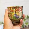Teetassenpaar, stilvolle Kutani Ware Paar Teetasse, Teetasse, Keramikmarke, japanisches Geschirr, hergestellt in Japan, Frühling/Sommer/Herbst/Winter