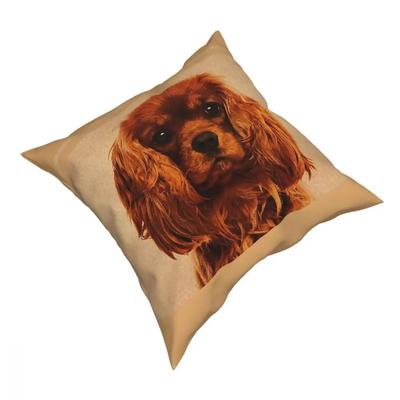Funda de Almohada Cuadrada Cavalier King Charles Spaniel Almohada Decorativa Perro Lindo Fundas de Cojín Divertidas