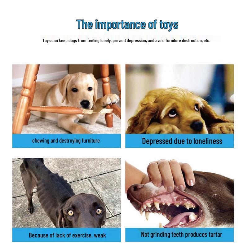 Latex Dog Training Tire - Durable, Tear-Resistant Chew Toy for Interactive Play.