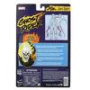 Hasbro Marvel Legends Series Marvel Comics Ghost Rider 6-inch Action Figure with 6 Accessories (F3450) Authentic
