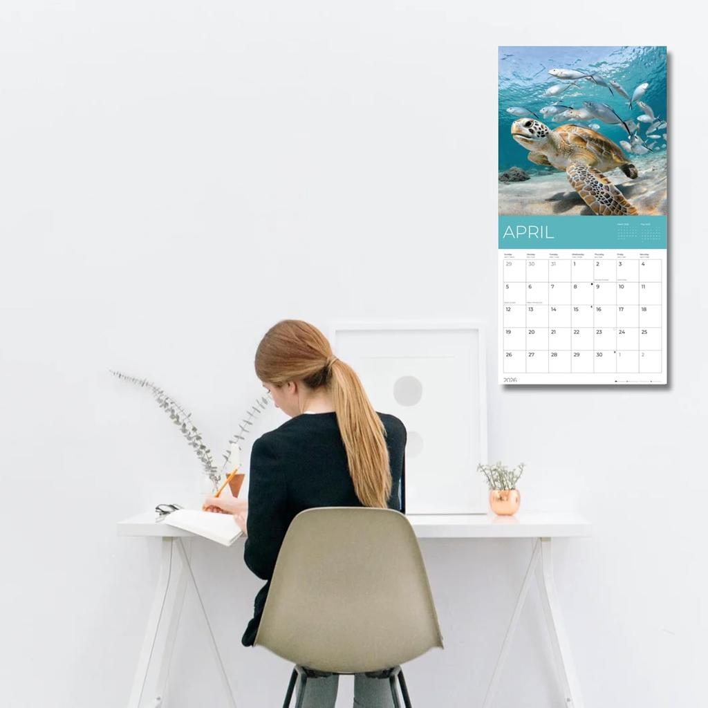 Sea Animals Wall Calendar | Sea Life Calendar | 12" x 24" Open | Giftable Calendar 2026 | Thick & Sturdy Paper for Organizing & Planning | Pacific