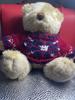 [USED] Teddy bear, teddy bear wearing a sweater, pastel, retro