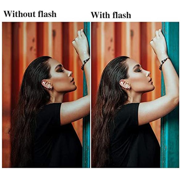 Authorized Agent Japanese Instruction GODOX TT600 Strobe Guide Number 60 Flash Speedlight Compatible with Digital Cameras Such As Canon Nikon Fuji