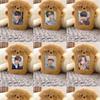 Cute Puppy Dog Plush ID Card Protect Holder Idol Photo Display Card Holder Students Card Storage Book Keychain Bag Pendant Gifts