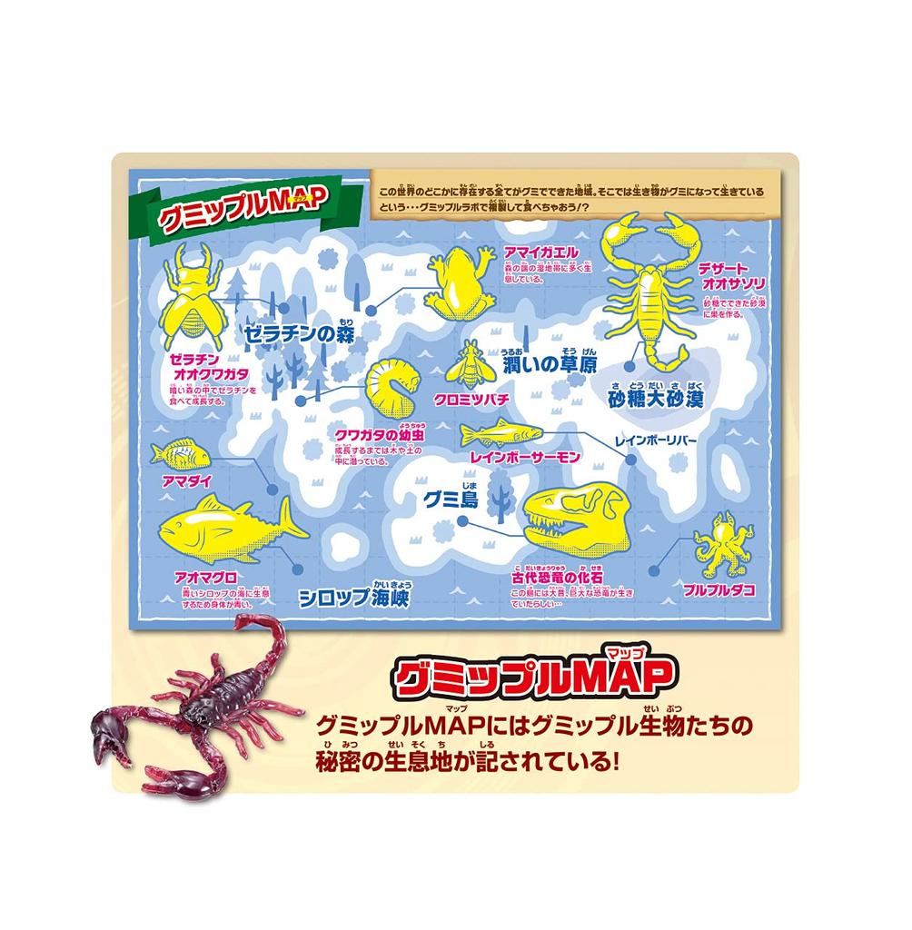 MegaHouse Gumipple Lab Forschungspresentation DX