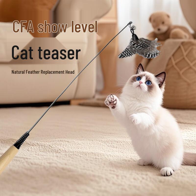 HELLOJOY Professional Cat Teaser Wand