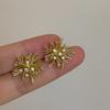Korean Fashion Retro Personality Firework Flowers Studs Earrings for Women Daily Accessories Exquisite Zircon Party Jewerly Gift