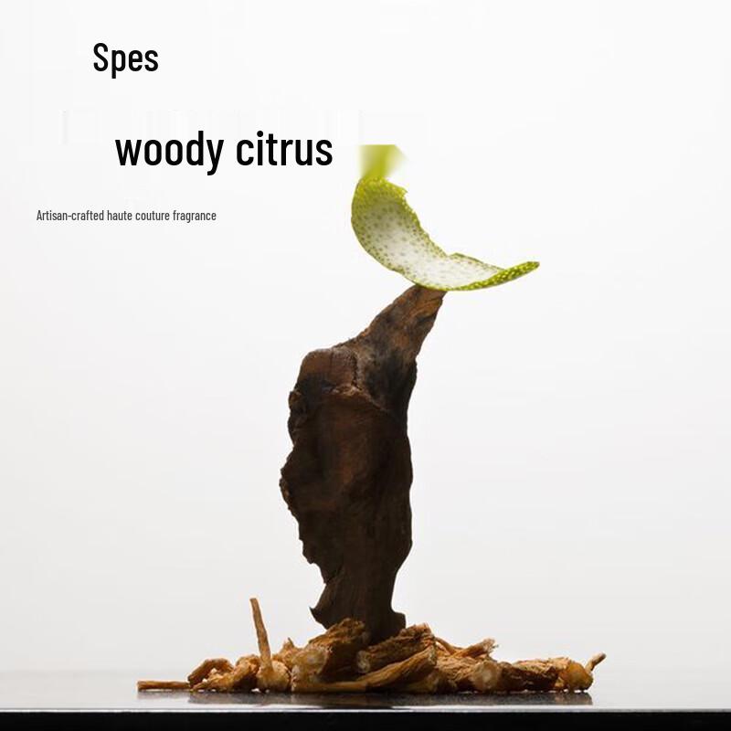 SpesSpes Essential Oil Smoothing Hair Mask